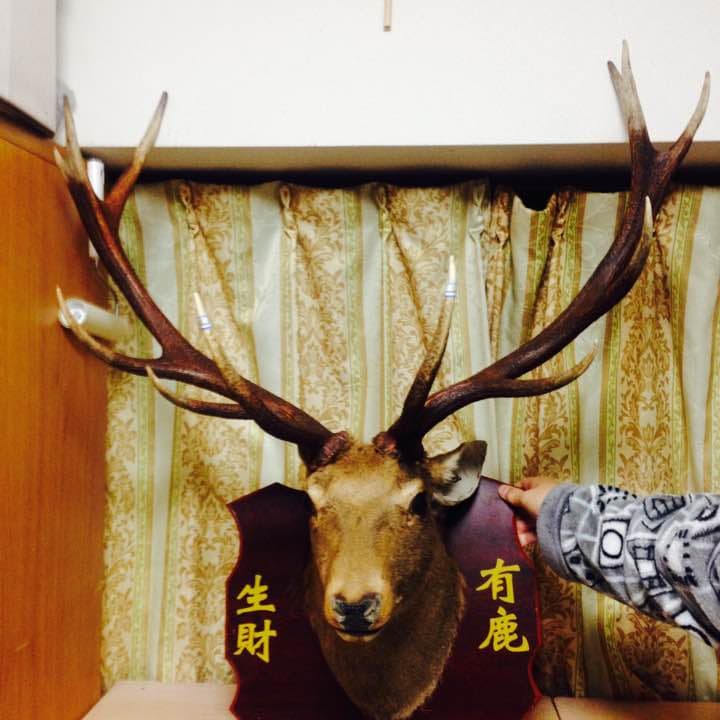 鹿の頭  （商売繁盛、幸せを呼び込む縁起商品）