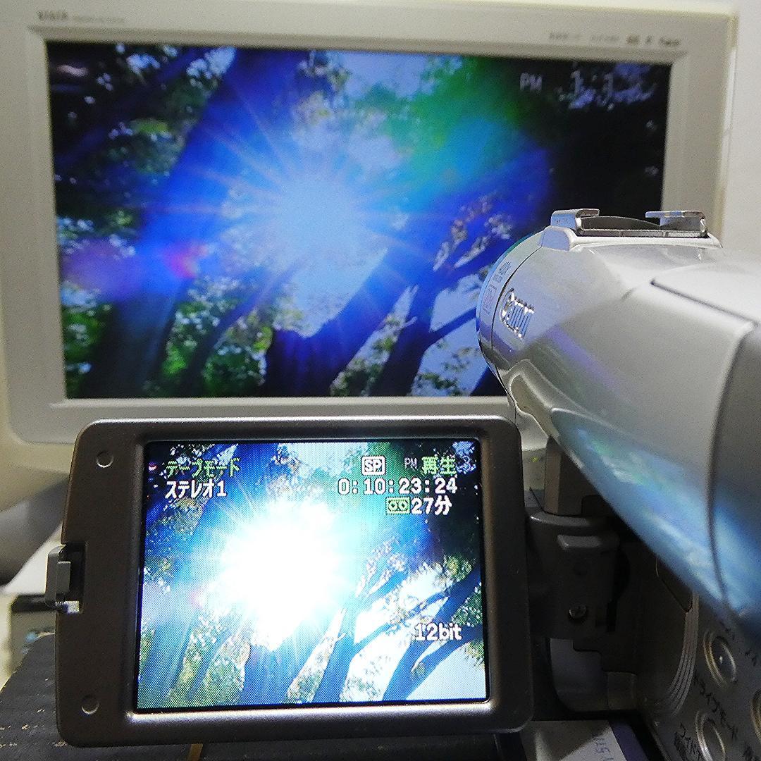 動作良好 キャノン DM-FV M200 MiniDVビデオ DVDダビングに