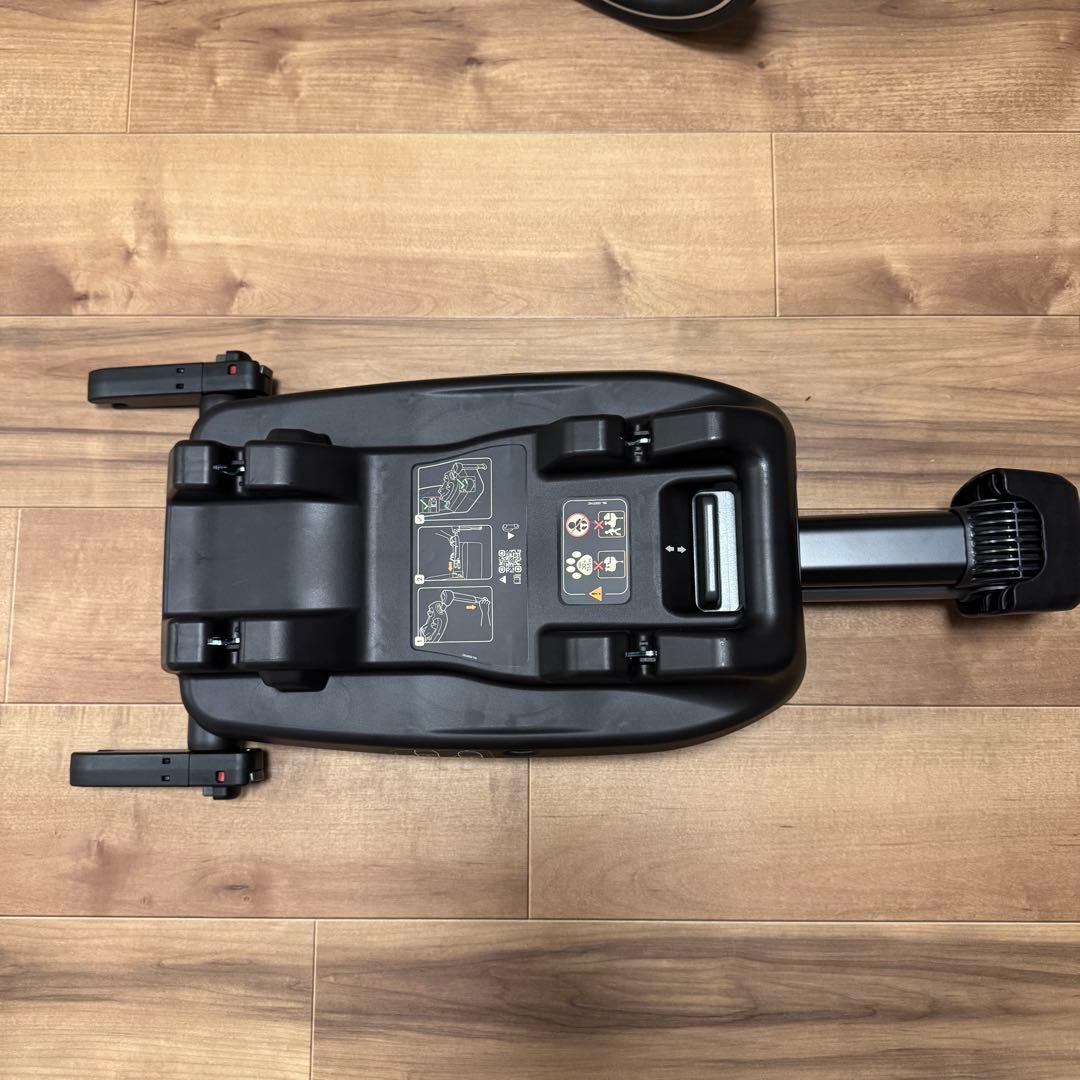 Tavo ペット - Maeve + Roscoe