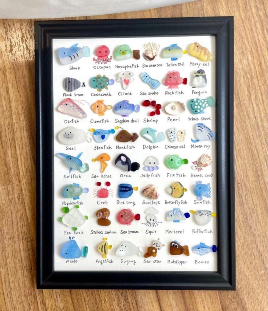 48種の海のいきもの図鑑No.445⭐︎プレゼント　ジンベイザメ　シャチ　くじら