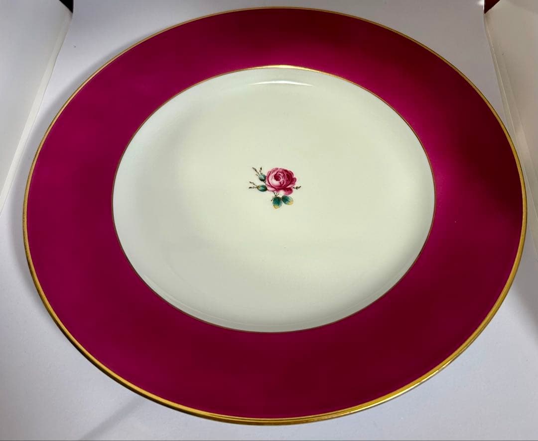 【希少•未使用】リチャードジノリ インペロカメリア ディナープレート 5枚セット