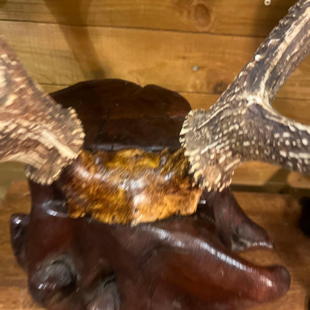 ヴィンテージ迫力満点！鹿ツノ丸太