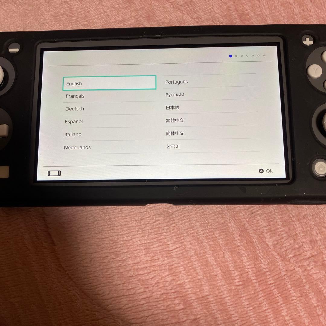 ヒ*ン様 Nintendo Switch Lite グレー 本体 充電器、ケース