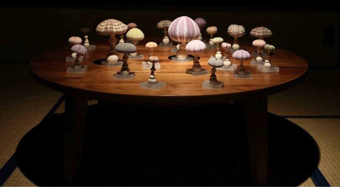 【廃盤】ウサギノネドコ uninoco ウニ　ソラキューブ キノコ きのこ 置物