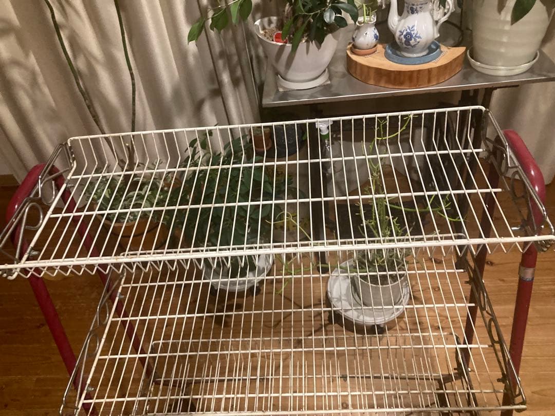 昭和レトロ　ワイヤーラック3段仕様　キャスター付ガーデニング　シャビーラック14