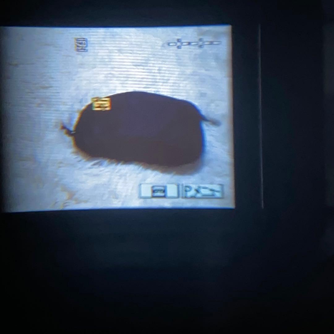 【希少】【動作確認済み】SONY ビデオカメラ DCR-PC350