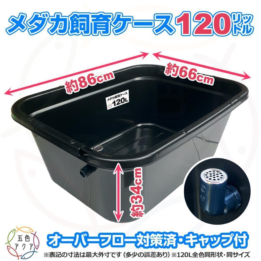 メダカ飼育ケース 120㍑x3個 黒・濃緑あり オーバーフロー 金魚飼育 越冬