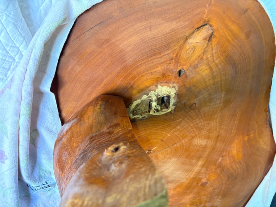 天然木　ローテーブル　センターテーブル　一枚板　無垢材　座卓　瘤脚