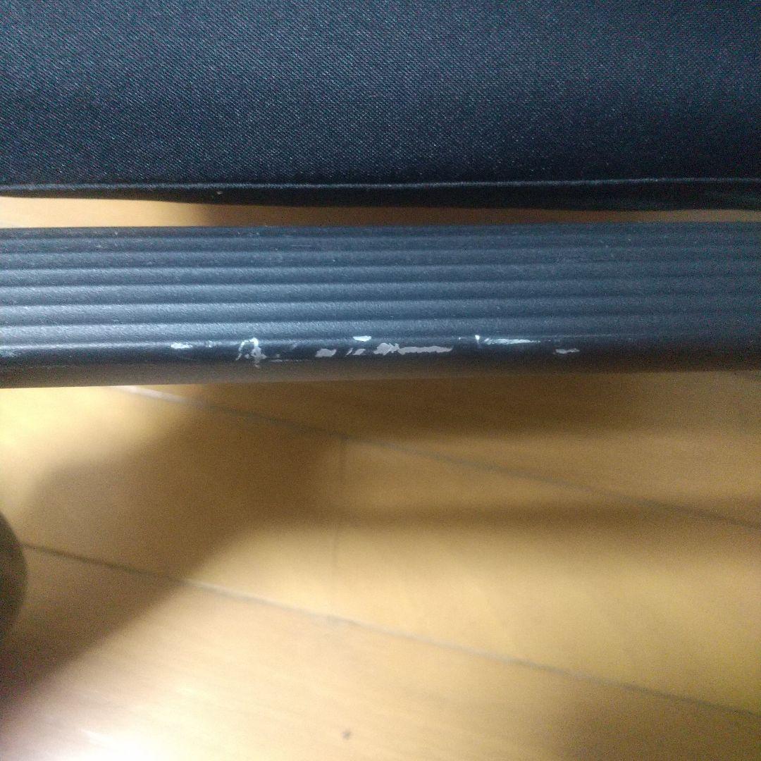 サイベックス オルフェオ 2024年