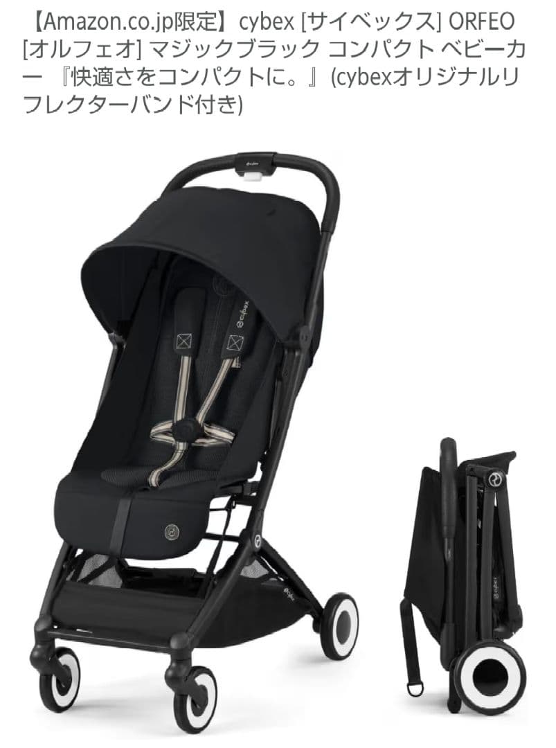 サイベックス オルフェオ 2024年