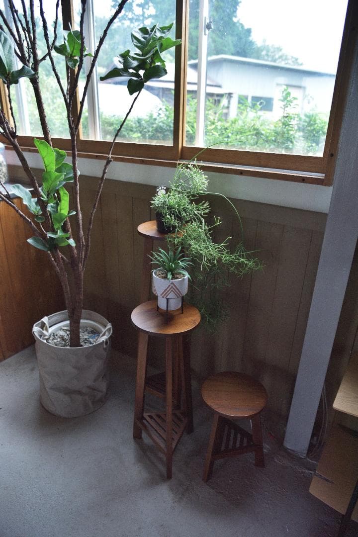 Lサイズ フラワースタンド 室内 木製 観葉植物 GUY-924 N01