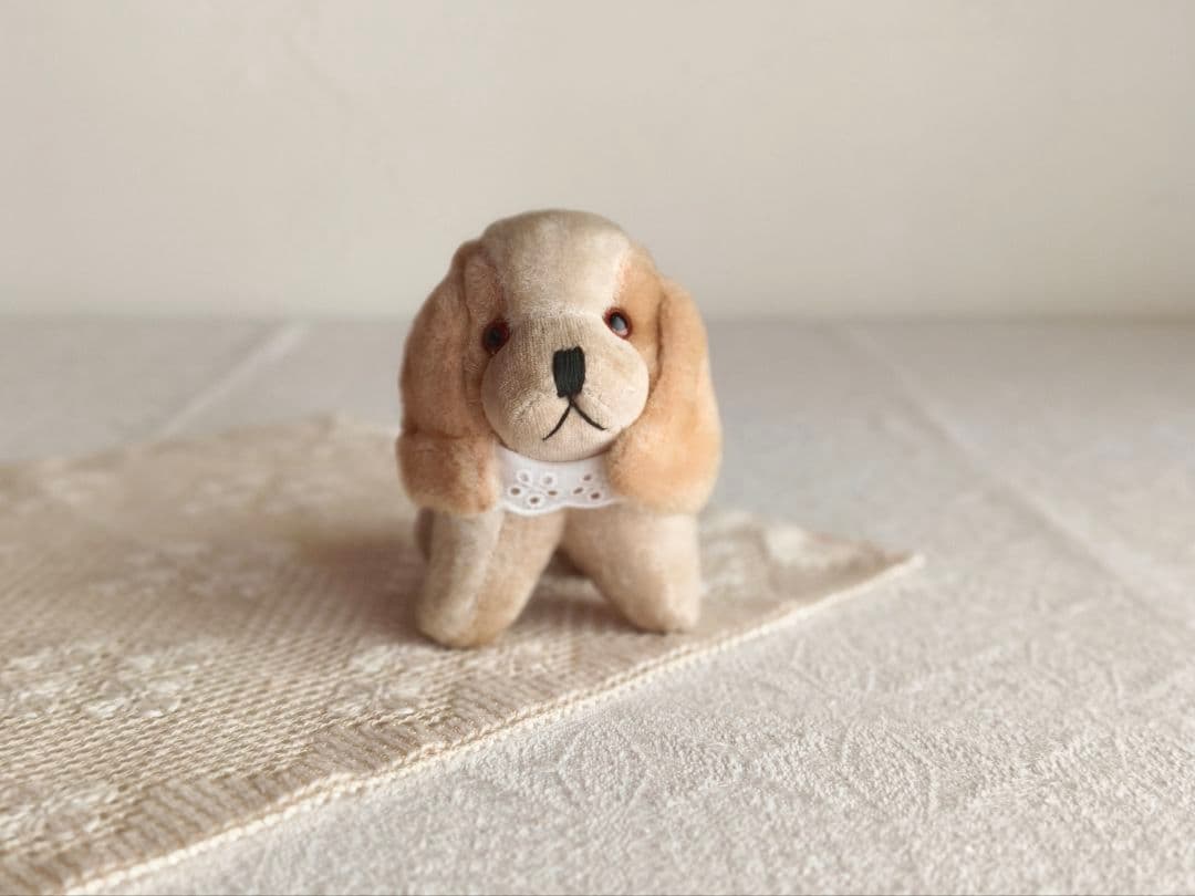 * vintage dog ❀ * 淡いツートーンの可愛い ワンちゃん