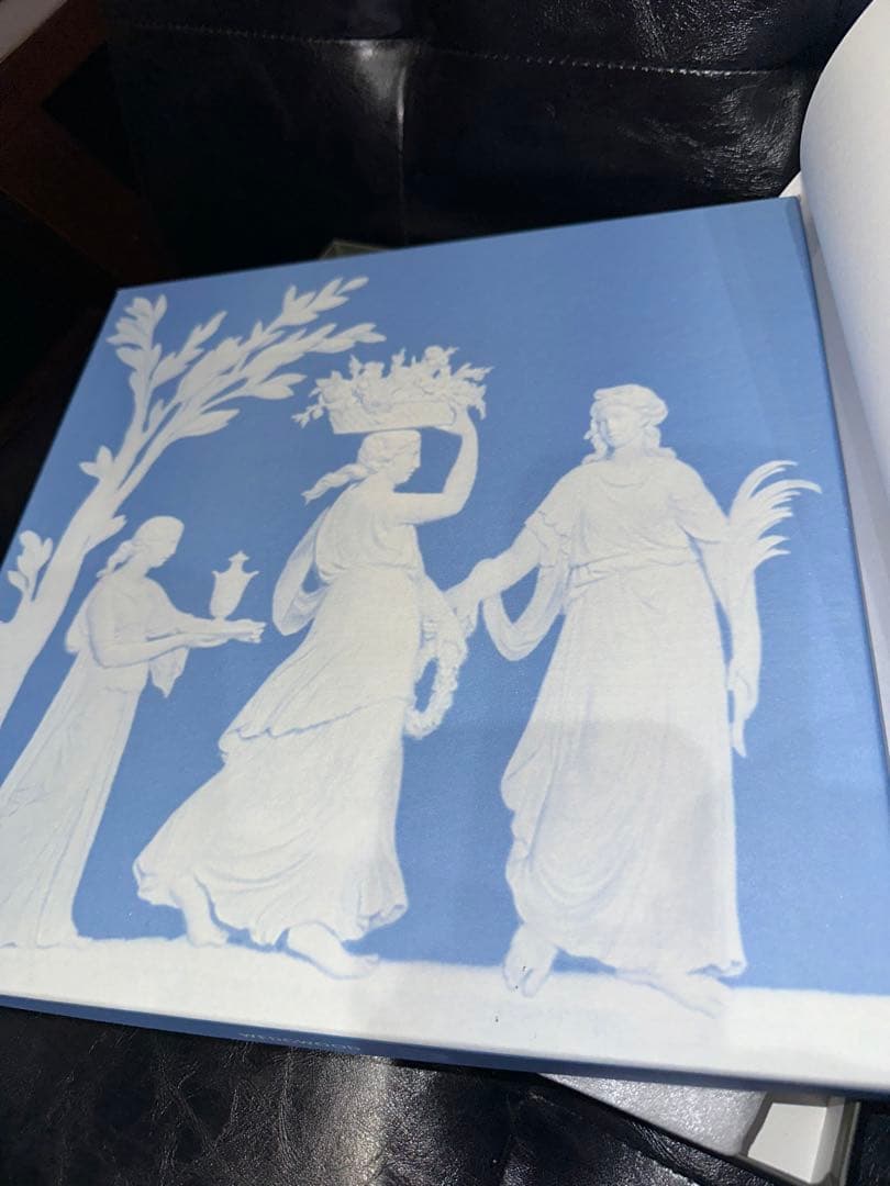 【未使用】 Wild Strawberry 皿 約27cm