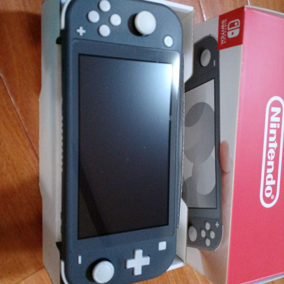 Nintendo Switch Lite グレー　 専用ケース付き