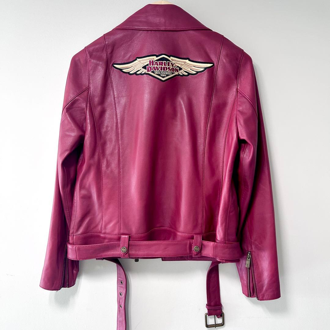 【状態S】 120周年記念 ハーレーダビットソン ダブル レザージャケット M