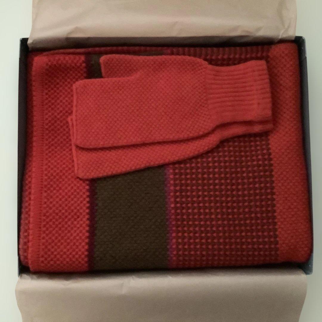 ミナペルホネン　HIKARU NOGUCHI ショール&ミトン