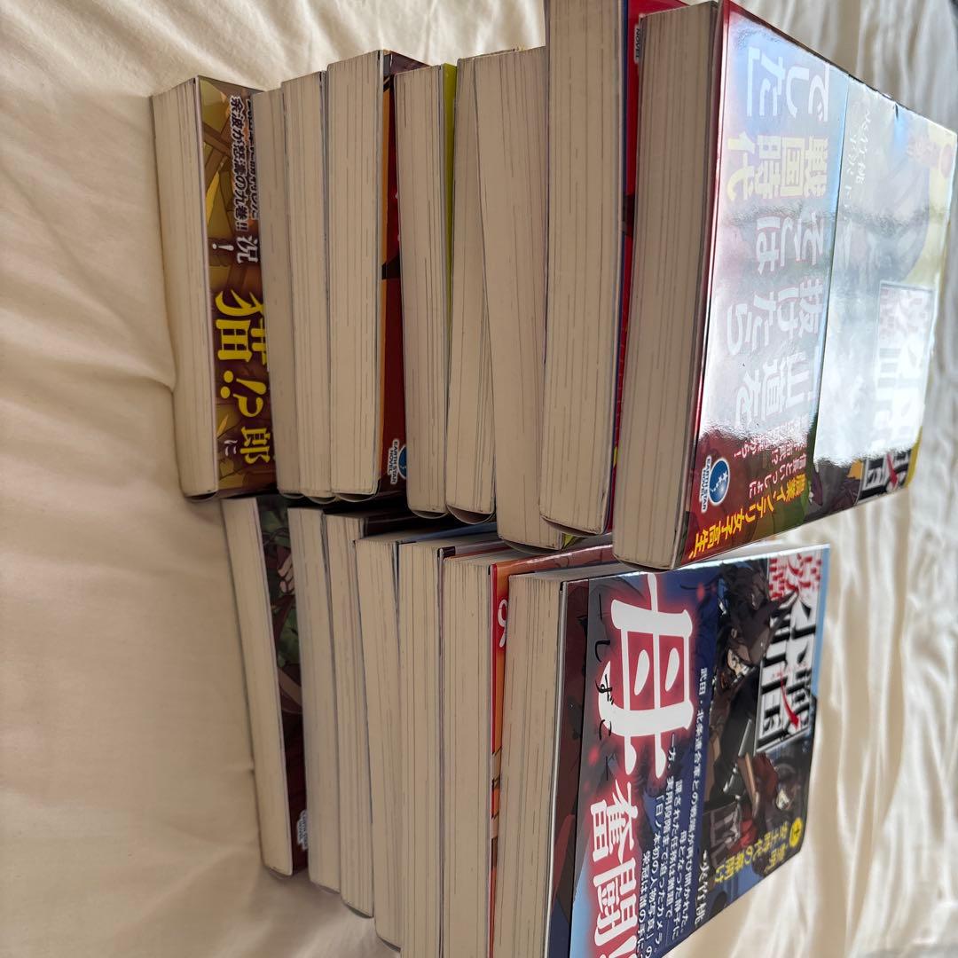 ち*け様 戦国小町苦労譚 17巻まで（10巻抜け） ラノベ