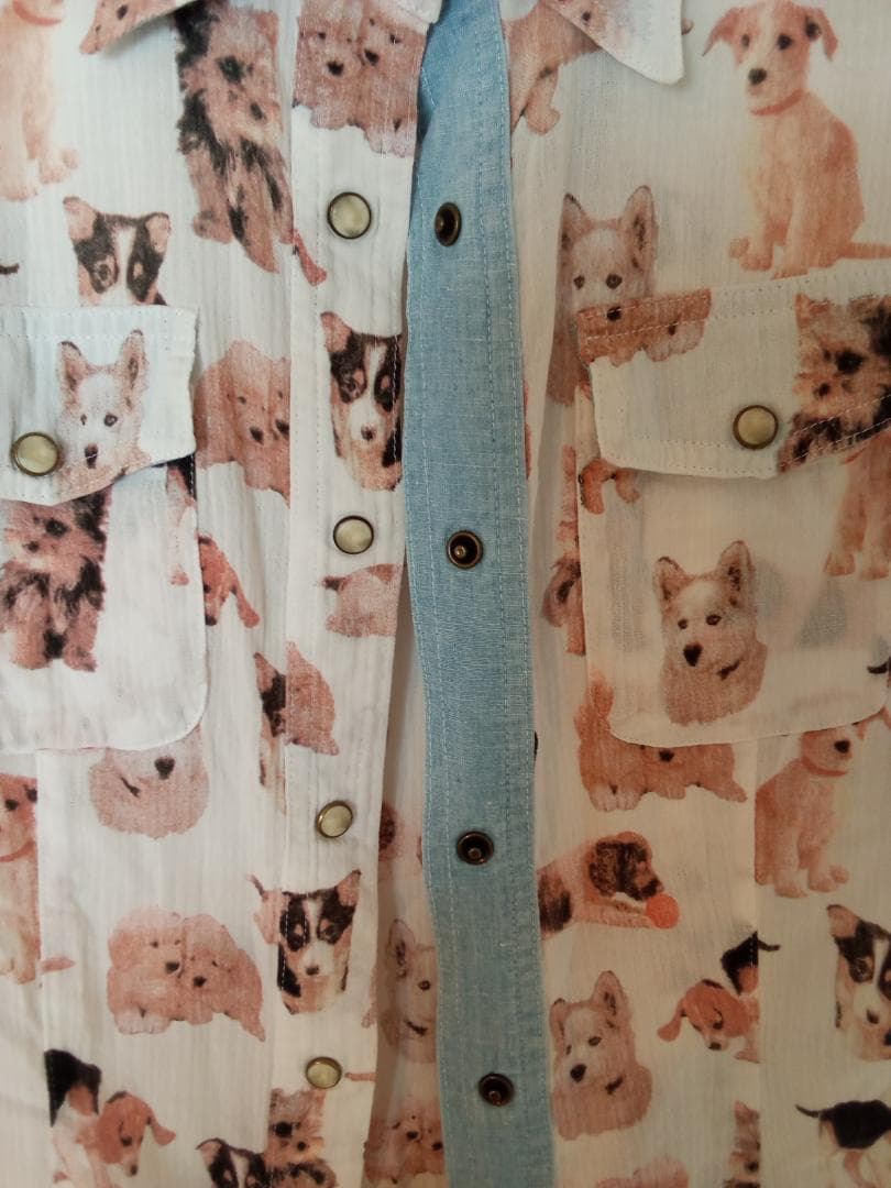 夏季値下げ/愛犬家の方～稀有なデザイン・ドルチェ＆ガッバーナ　レディースブラウス