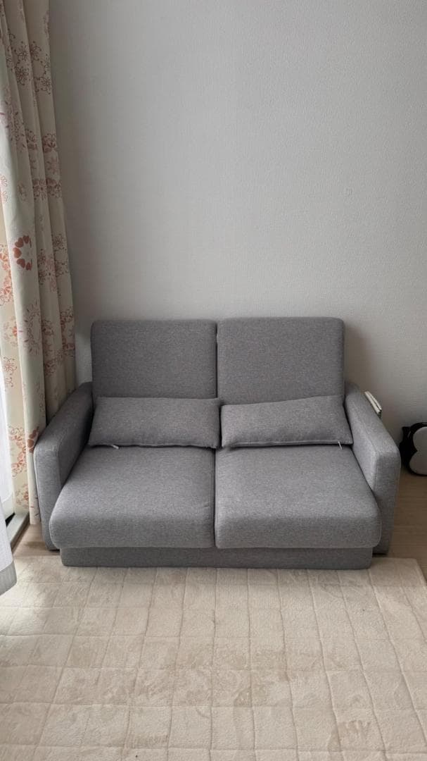 ソファ 2人掛け 収納付き ファブリック 両側に肘掛け付き カウチソファー