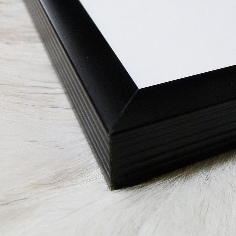 額装品/アレクサンダー・ジラード 1968 アートポスター シルクスクリーン