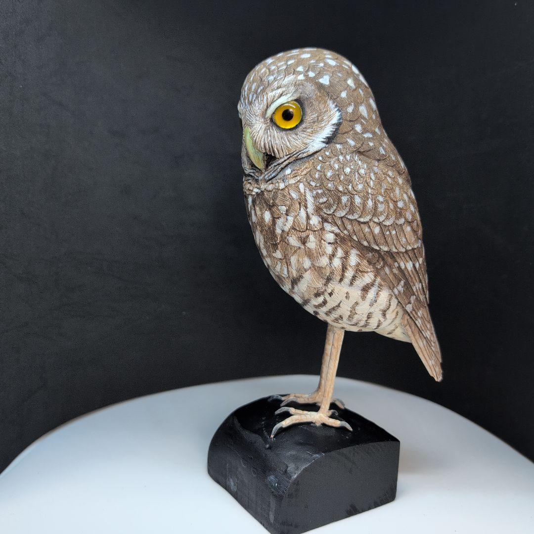 木製　アナホリフクロウ　野鳥彫刻　バードカービング　木彫りの野鳥