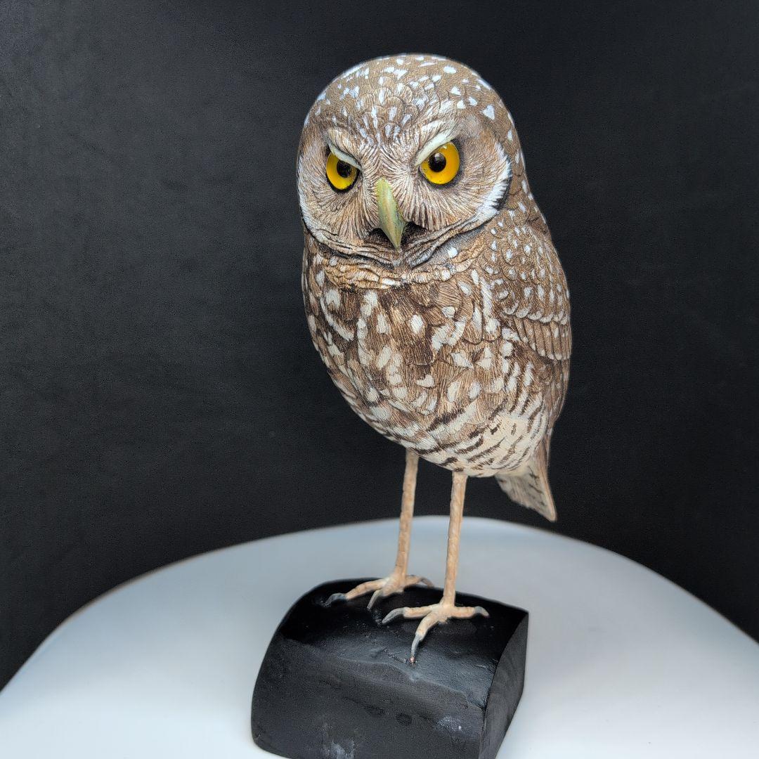 木製　アナホリフクロウ　野鳥彫刻　バードカービング　木彫りの野鳥