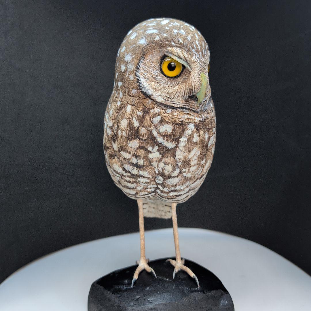 木製　アナホリフクロウ　野鳥彫刻　バードカービング　木彫りの野鳥