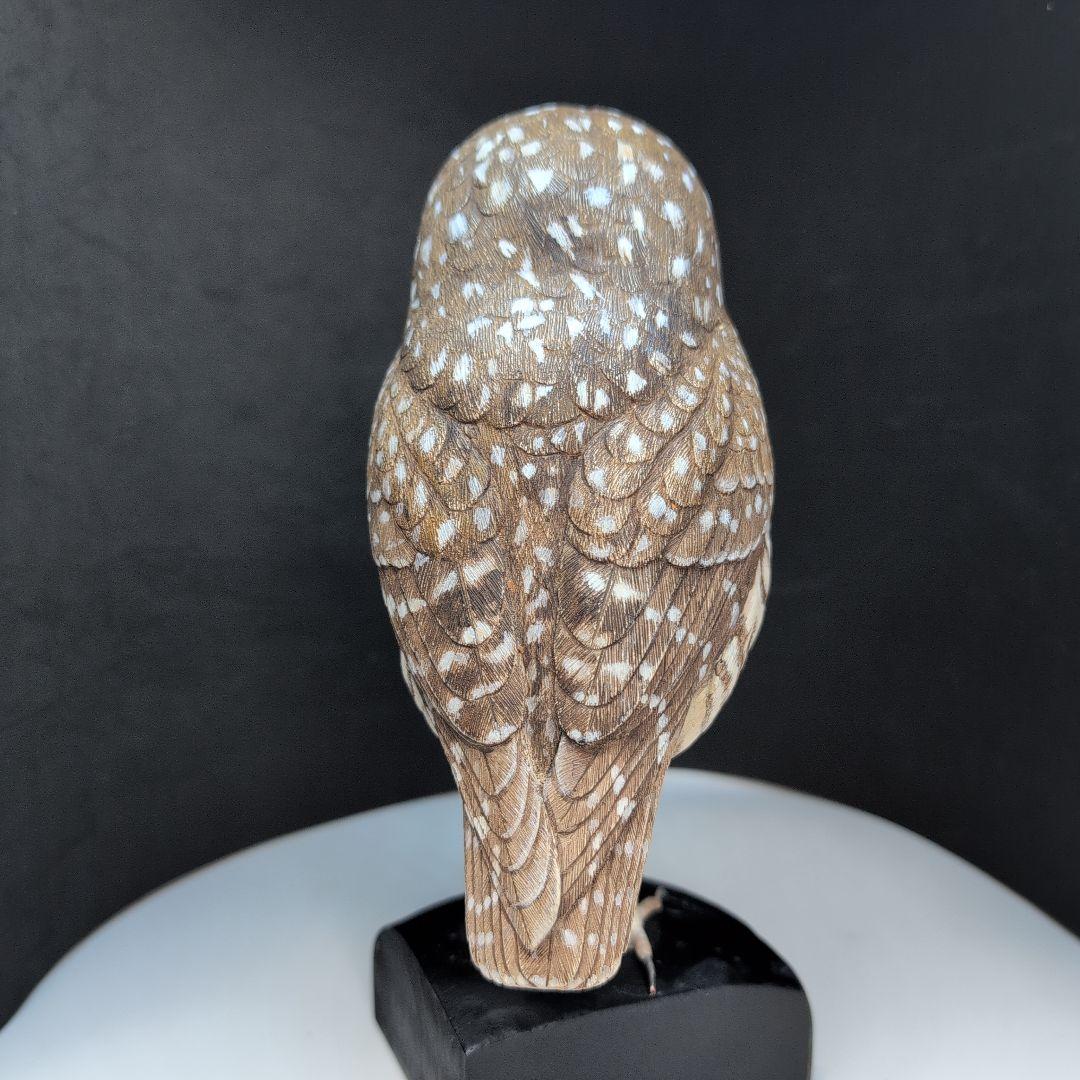 木製　アナホリフクロウ　野鳥彫刻　バードカービング　木彫りの野鳥