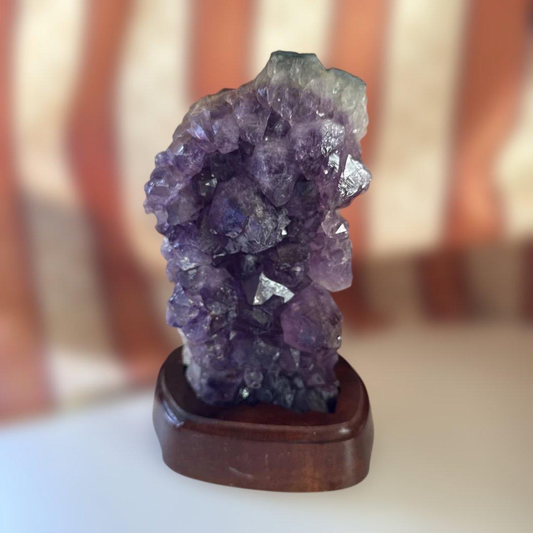 アメジスト　（2月末まで）