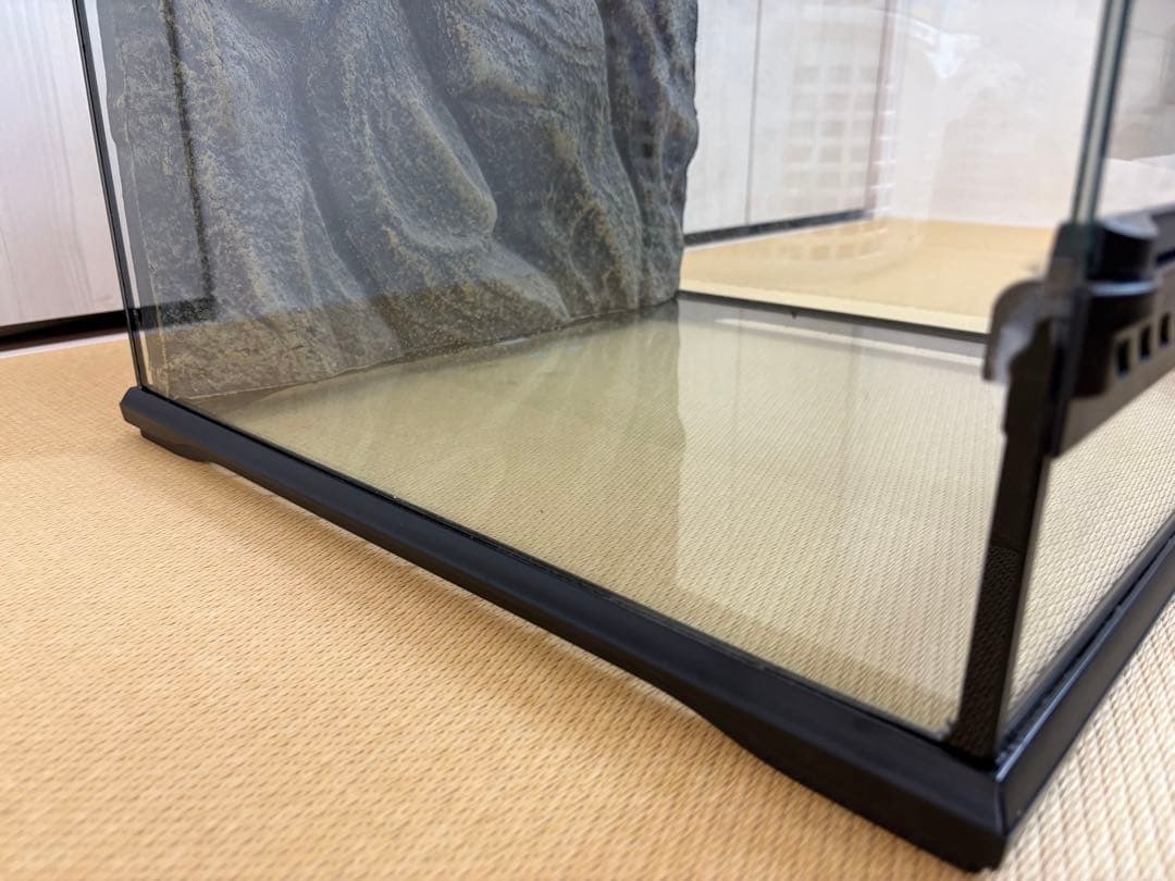 グラステラリウム　4530