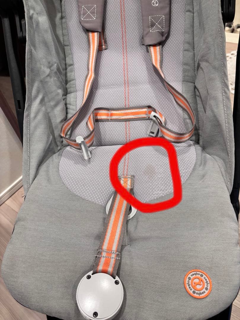 サイベックス　リベル　ラバグレー　2023