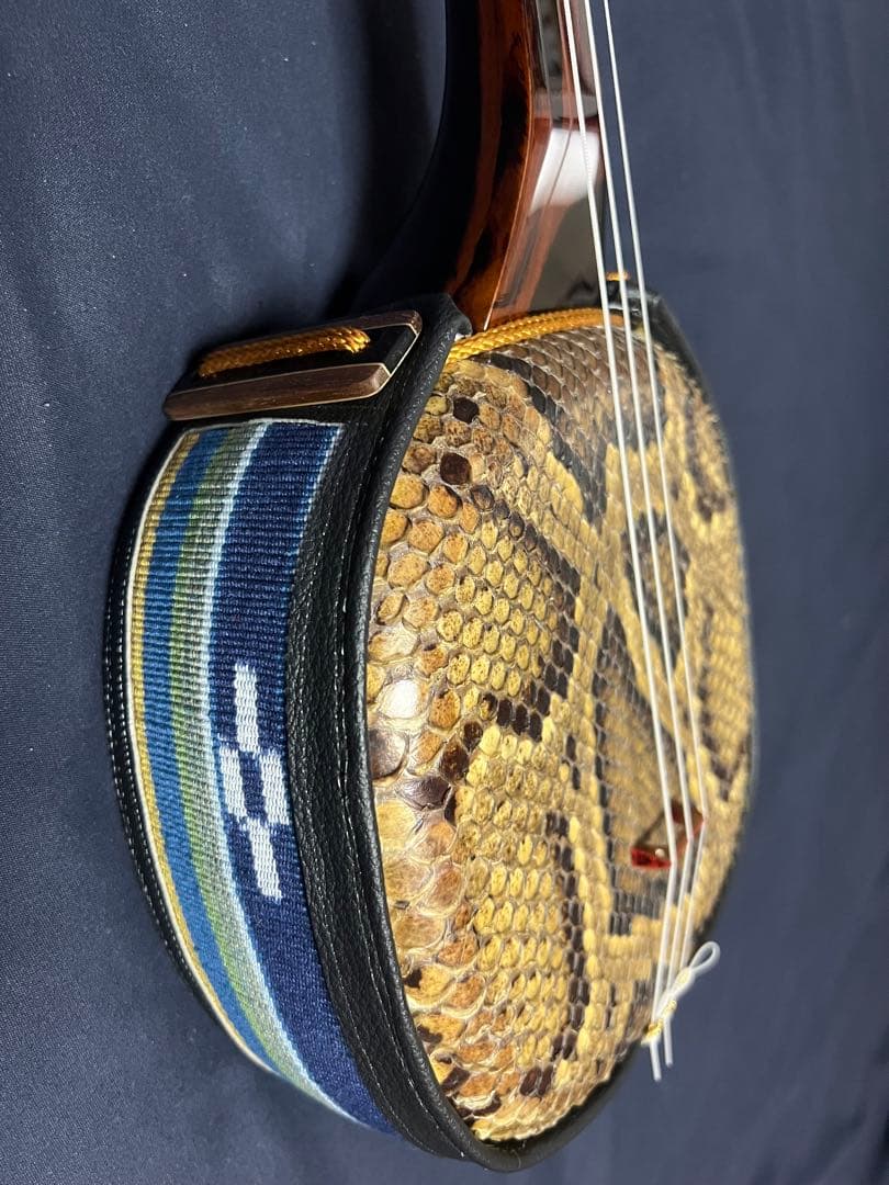 三線 八重山黒木 ウジラミ