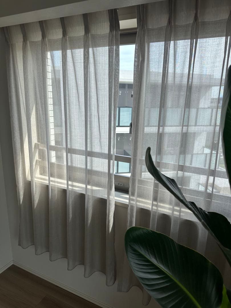 ACTUS アクタス 高級レースカーテン 幅158 x 丈161