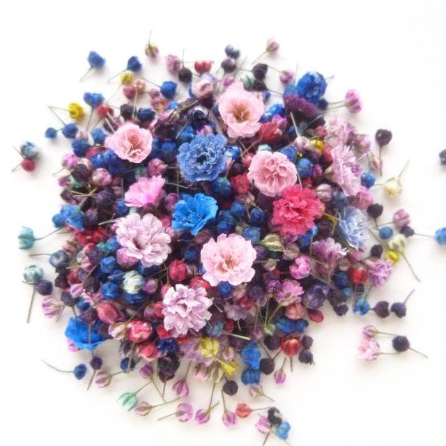 にゃーにゃ様◆【ドライフラワー】かすみ草の蕾 着色（843 レジン）