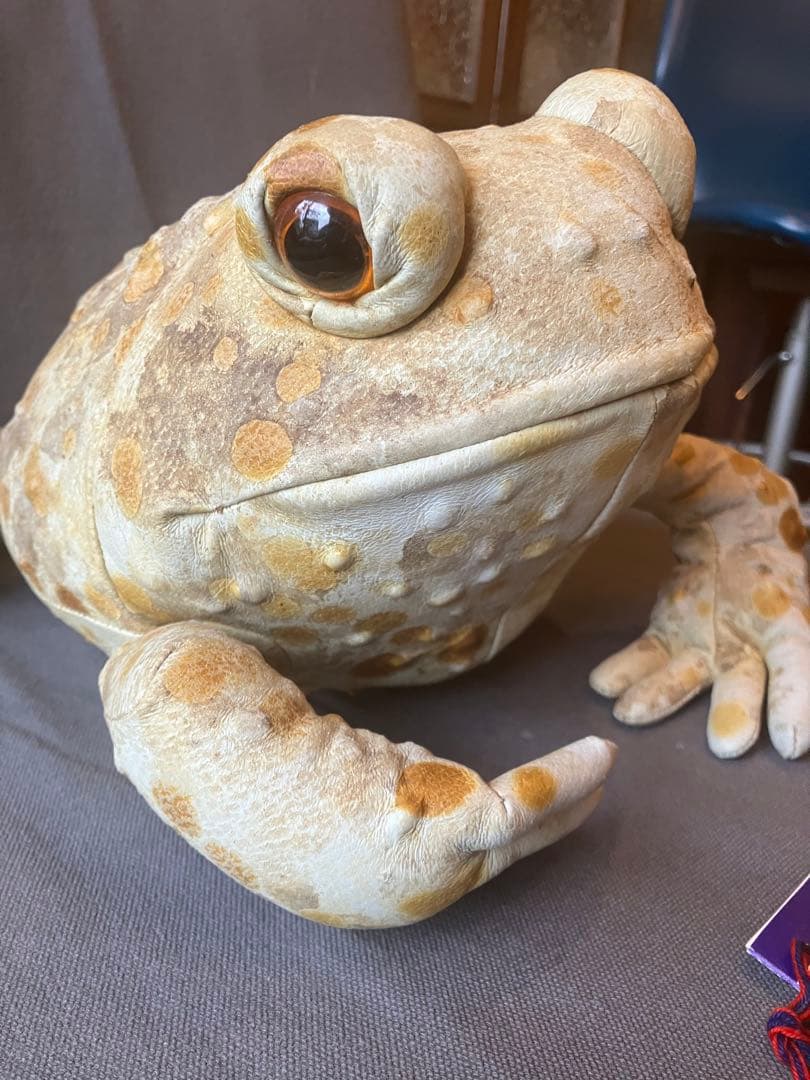 Forever Toys カエル型ぬいぐるみ