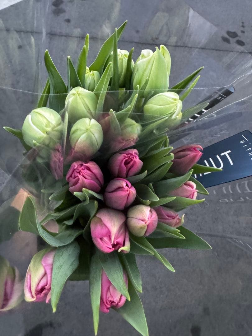 aya様 リクエスト 3点 まとめ商品