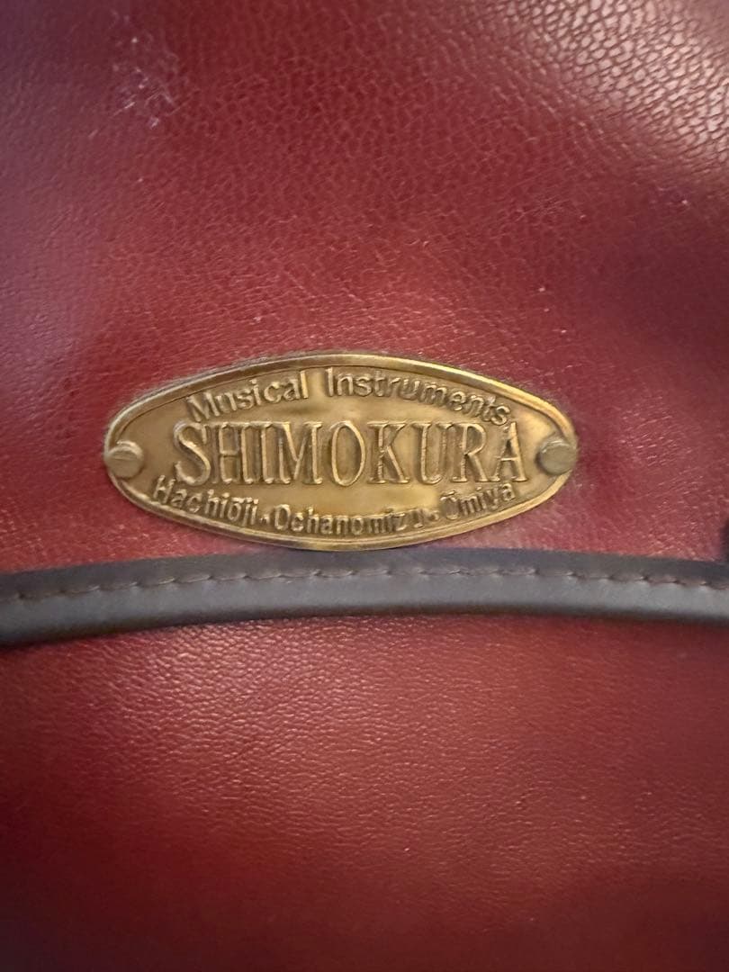 Aria Pro II RS Wildcat エレキギター