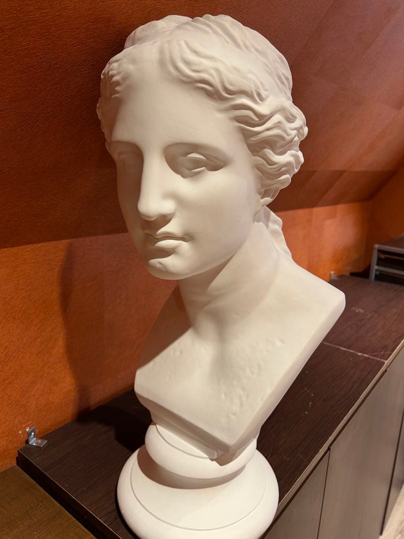 ミロのヴィーナス　石膏像　デッサン　アート　芸術　美術