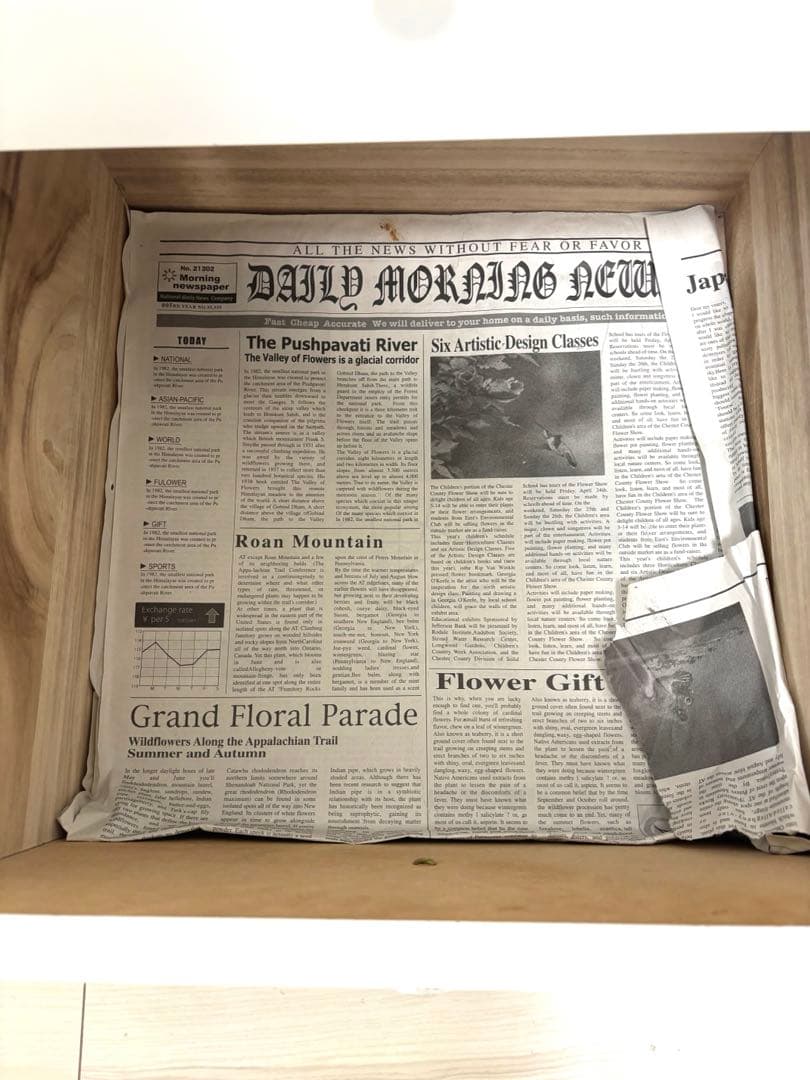 チェスト　ホワイト　タンス