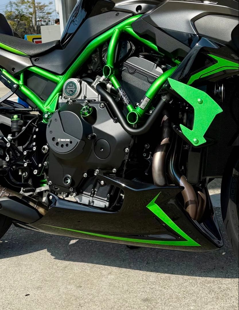 カワサキ　ZH2 / ZH2SE 全年式　アンダーカウル　レオパルド製