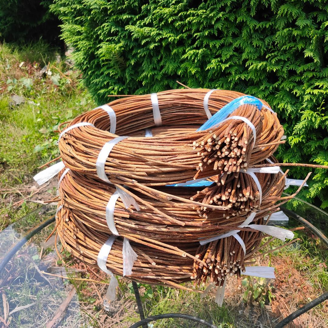 (委託品)青森県岩木山採取　あけび蔓　150cm～　3.2kg