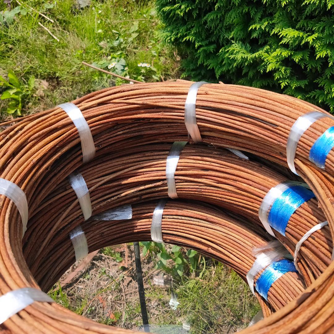 (委託品)青森県岩木山採取　あけび蔓　150cm～　3.2kg