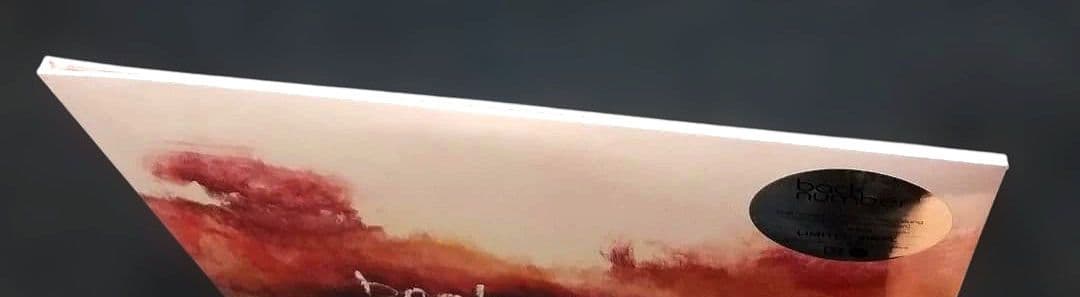 新品 back number スーパースター レコード 2LP