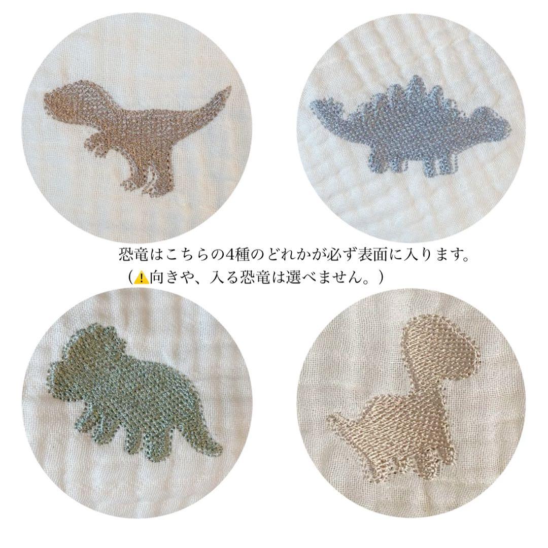 【送料無料】入園入学3点セット/刺繍ダイナソー・恐竜