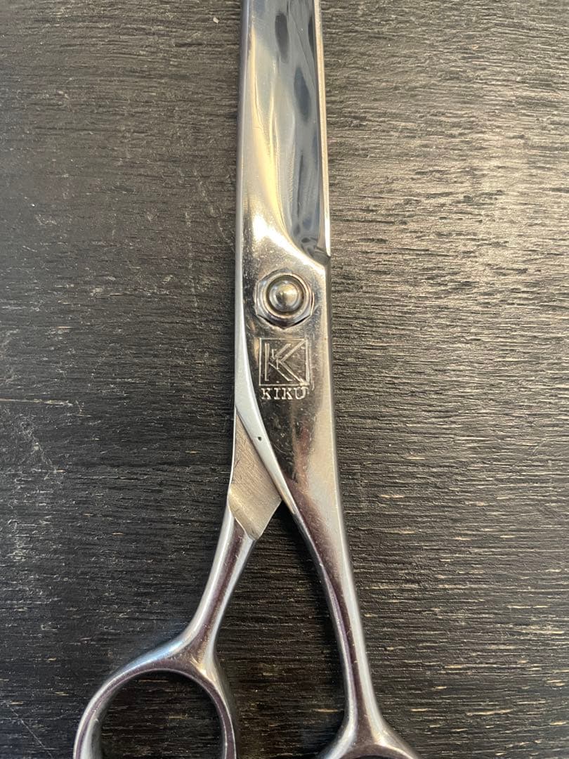 キクオオカワシザー