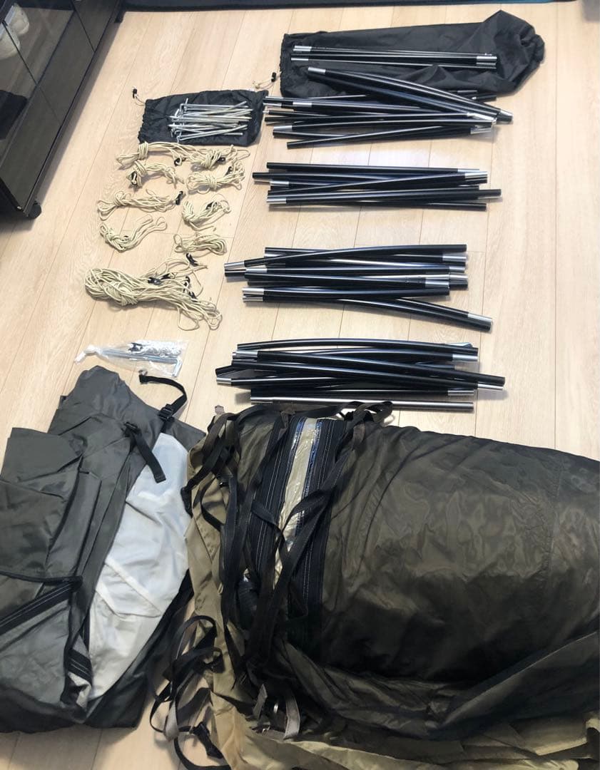 y*！様 サバティカル　アルニカ