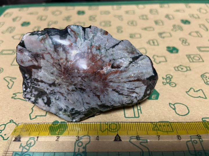 岐阜 菊花石 セット 水石 天然石