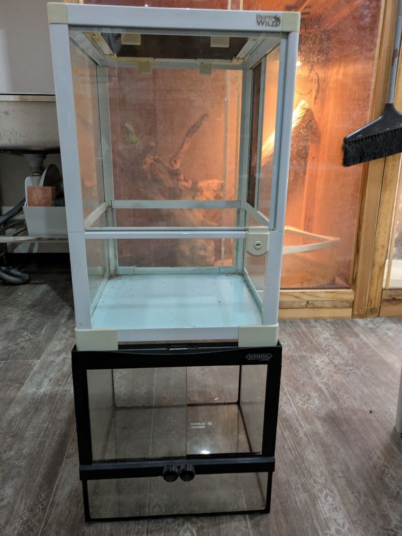 爬虫類ケージまとめ売り