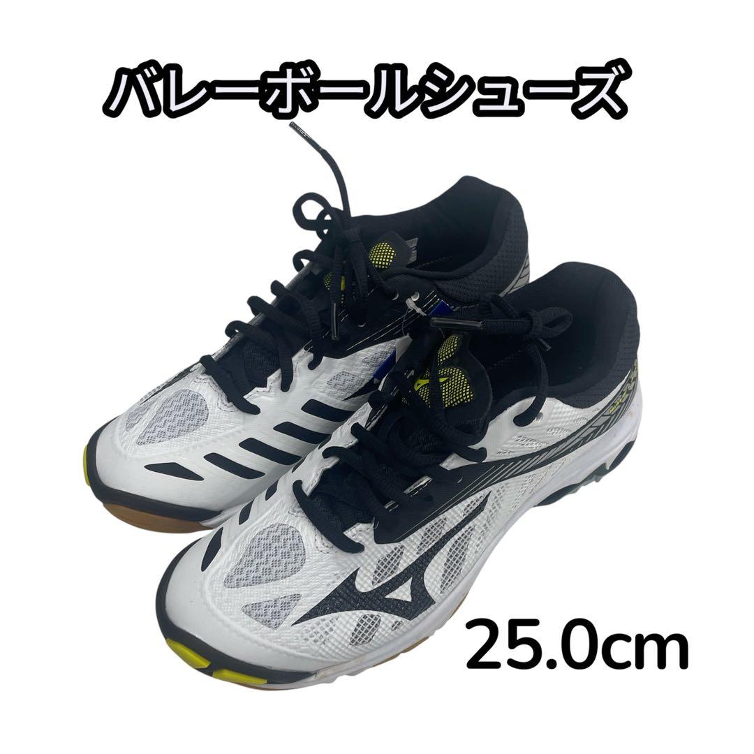 Mizuno バレーボールシューズ ウェーブライトニング　25.0cm