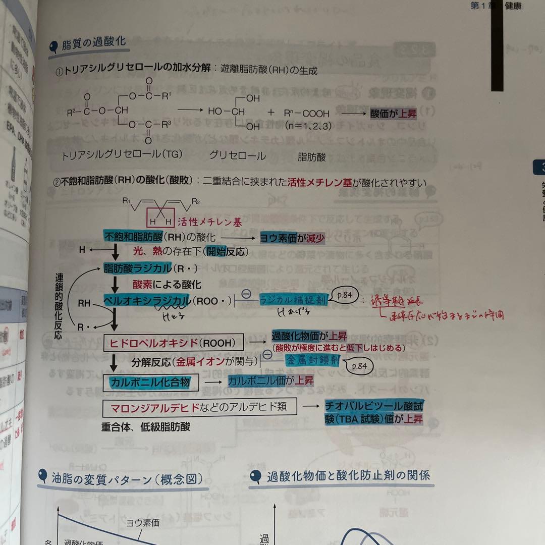 薬ゼミの要点集　9冊セット